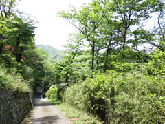 三井伊豆山の写真