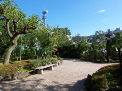 熱海市フォーシーズンズ・ガーデン熱海八方苑の写真(3)