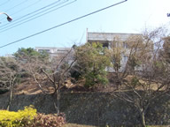 函南町グレイスヴィラ南箱根の写真(3)