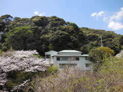 下田本店おすすめ物件 下田本店おすすめ物件