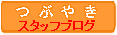 スタッフブログ