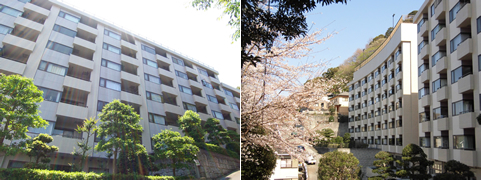 熱海市 プチモンド熱海の物件写真(B)