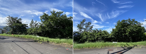 熱海市 あじろ南熱海が丘の物件写真(B)