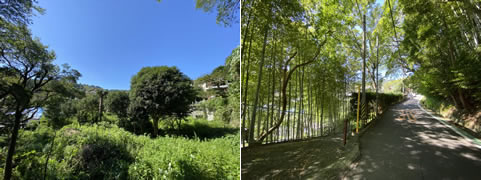 熱海市 西山町の物件写真(B)