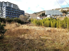 伊豆山の写真