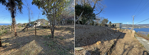 熱海市 網代の物件写真(B)