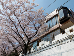 桃山町の写真