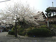 伊東市伊豆急城ヶ崎地区の写真(1) 伊東市伊豆急城ヶ崎地区の写真(1)