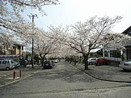 伊東市伊豆急城ヶ崎地区の写真(2) 伊東市伊豆急城ヶ崎地区の写真(2)