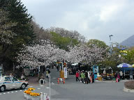 伊東市伊豆急伊豆高原地区の写真(4)