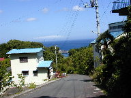 河津町果樹園別荘地の写真(3)