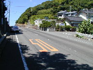 南伊豆町南伊豆マリンパークの写真(1) 南伊豆町南伊豆マリンパークの写真(1)