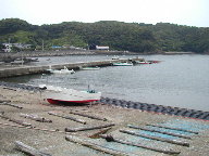 南伊豆町南伊豆マリンパークの写真(4) 南伊豆町南伊豆マリンパークの写真(4)