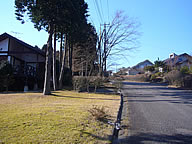伊豆市東急天城高原(中伊豆町)の写真(1) 伊豆市東急天城高原(中伊豆町)の写真(1)