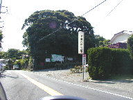 下田市吉佐美苑の写真(1) 下田市吉佐美苑の写真(1)