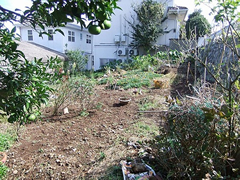  静岡県賀茂郡東伊豆町稲取  航空図 ※注