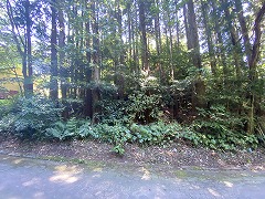 伊豆エメラルドタウン(韮山町)の写真