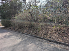 富士見ニュータウンの写真