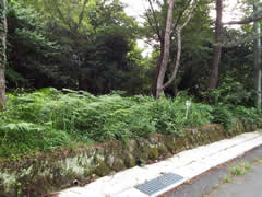 小松ケ原の写真