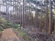 伊豆エメラルドタウン(韮山町)の写真