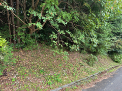 富士見ニュータウンの写真