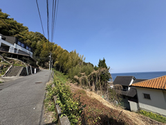 湯川の写真