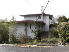 サザンクロスの写真