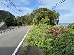 富戸の写真