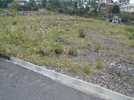伊豆急伊豆高原地区の写真