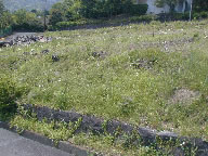 伊豆急伊豆高原地区の写真