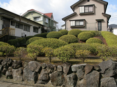  静岡県伊東市川奈  航空図 ※注