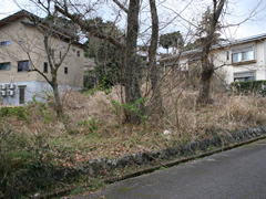 伊豆急伊豆高原地区の写真
