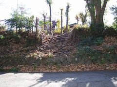 伊豆急伊豆高原地区の写真