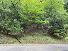 天城高原　丸野平の写真
