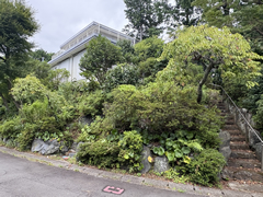 南箱根ダイヤランドの写真
