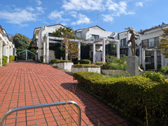 apartment 静岡県田方郡函南町平井1740-2620  航空図 ※注