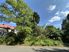 南箱根ダイヤランドの写真
