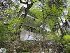 南箱根ダイヤランドの写真