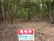 天子平別荘地の写真