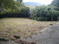  静岡県賀茂郡南伊豆町蝶ケ野  航空図 ※注