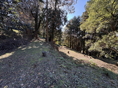  静岡県沼津市戸田  航空図 ※注