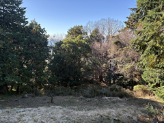  静岡県沼津市戸田  航空図 ※注