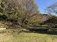 静岡県沼津市戸田  航空図 ※注