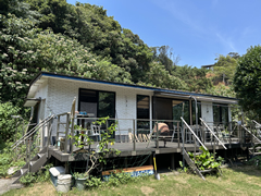 田牛の写真