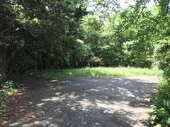  静岡県下田市白浜字女郎山  航空図 ※注