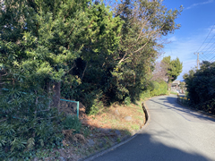  静岡県下田市柿崎字大原  航空図 ※注