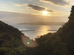  静岡県下田市須崎字釜ノ上  航空図 ※注