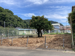 東中の写真