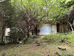 須崎の写真