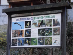 熱海市あじろ南熱海が丘の写真(2) 熱海市あじろ南熱海が丘の写真(2)